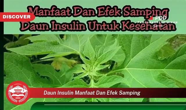 daun insulin manfaat dan efek samping