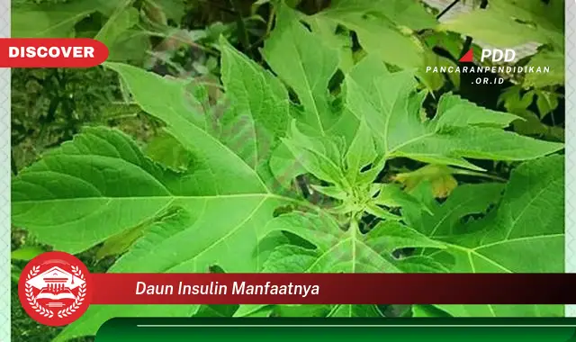 daun insulin manfaatnya