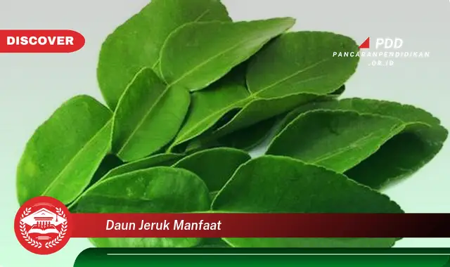 daun jeruk manfaat