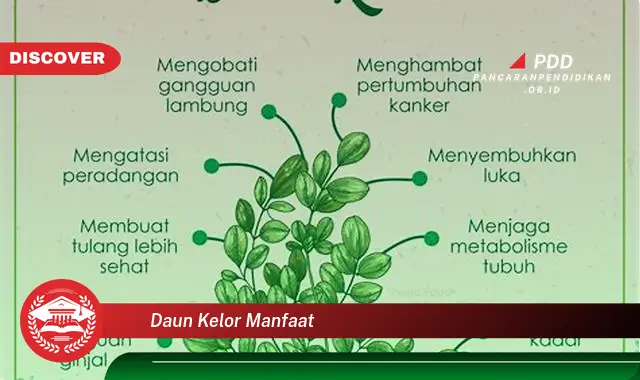 daun kelor manfaat