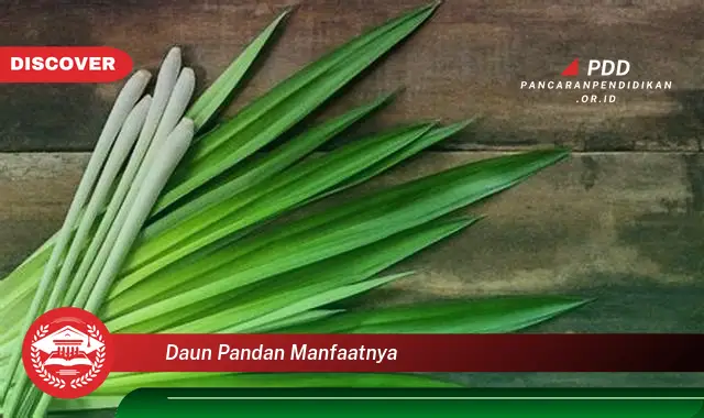 daun pandan manfaatnya