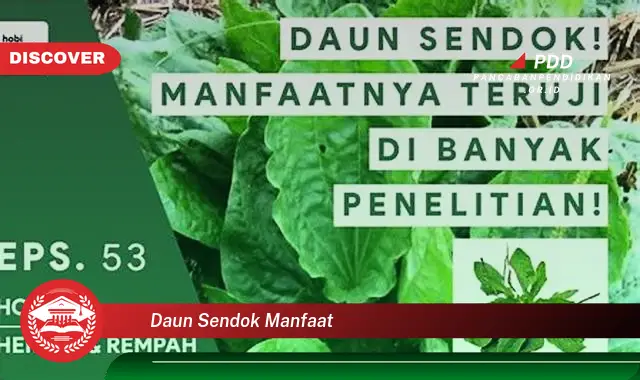 daun sendok manfaat