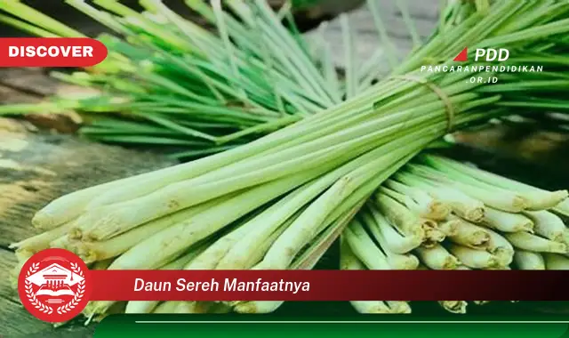 daun sereh manfaatnya