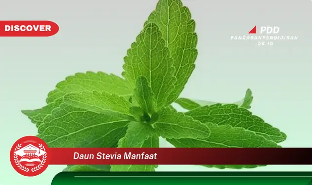 daun stevia manfaat