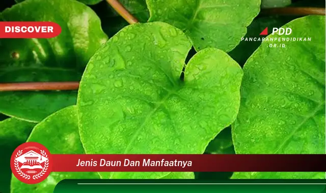 jenis daun dan manfaatnya