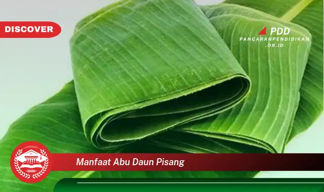 manfaat abu daun pisang