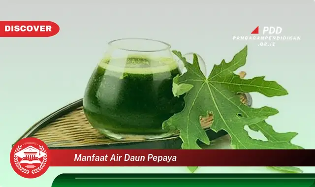 manfaat air daun pepaya