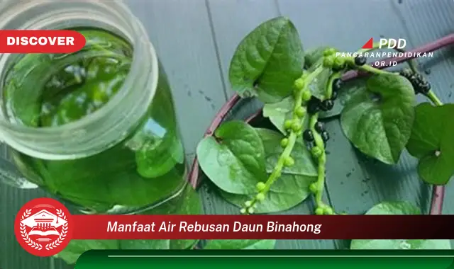 manfaat air rebusan daun binahong