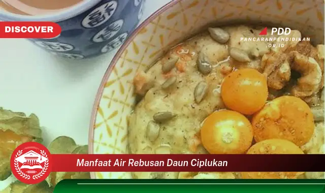 manfaat air rebusan daun ciplukan