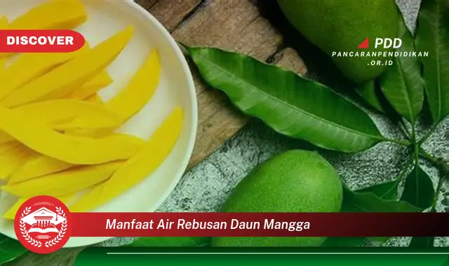 manfaat air rebusan daun mangga