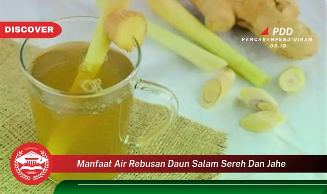 manfaat air rebusan daun salam sereh dan jahe