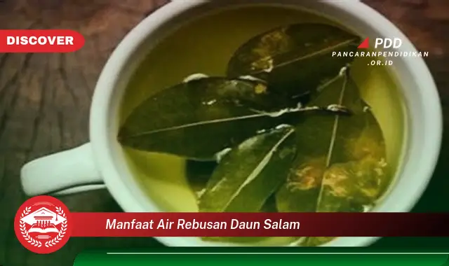 manfaat air rebusan daun salam