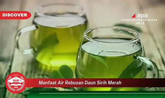 manfaat air rebusan daun sirih merah