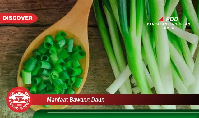 manfaat bawang daun