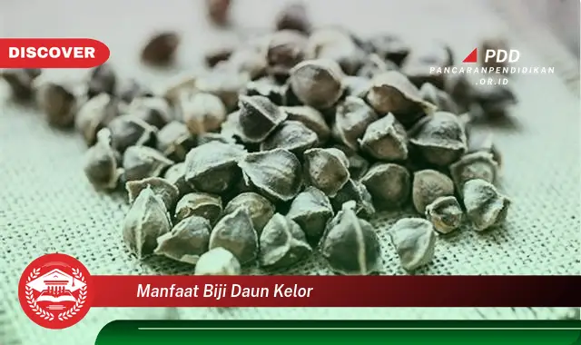 manfaat biji daun kelor