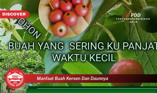 manfaat buah kersen dan daunnya