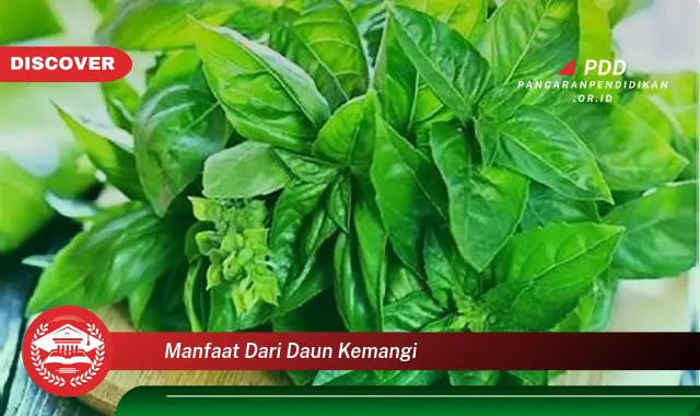 manfaat dari daun kemangi