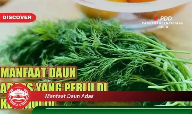 manfaat daun adas