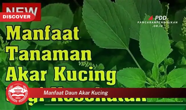 manfaat daun akar kucing