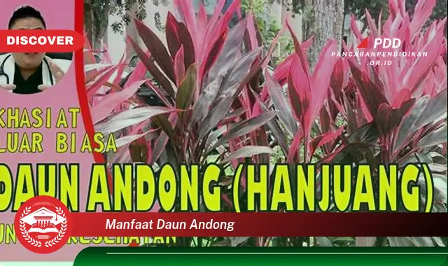 manfaat daun andong