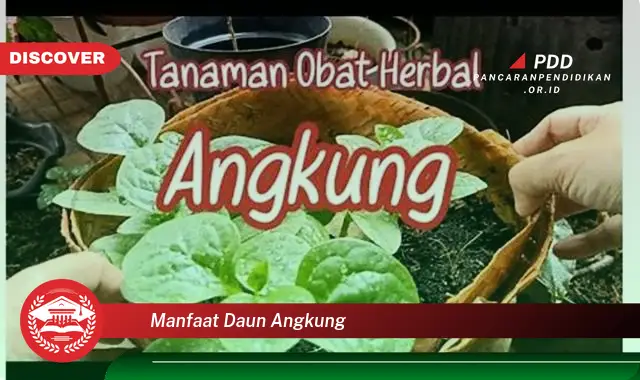 manfaat daun angkung