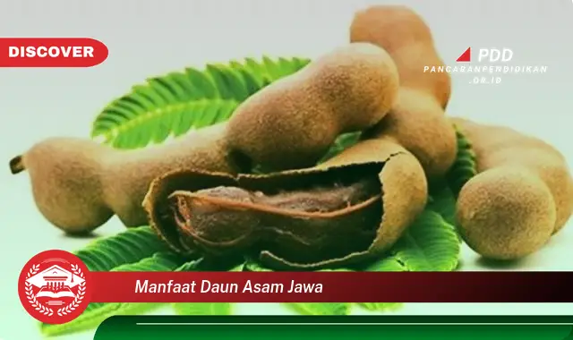 manfaat daun asam jawa