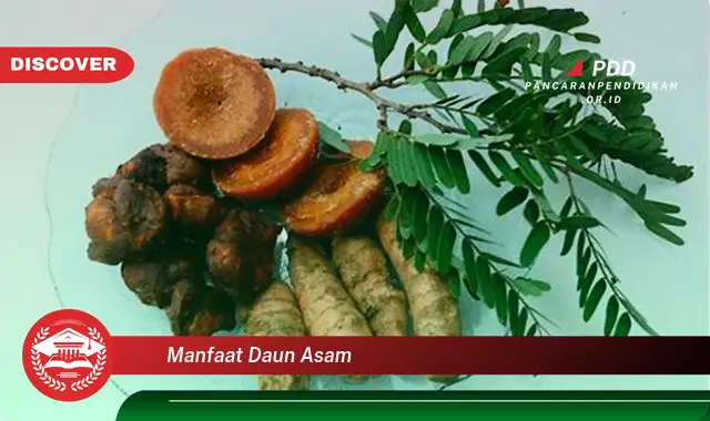 manfaat daun asam