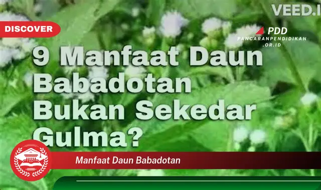 manfaat daun babadotan