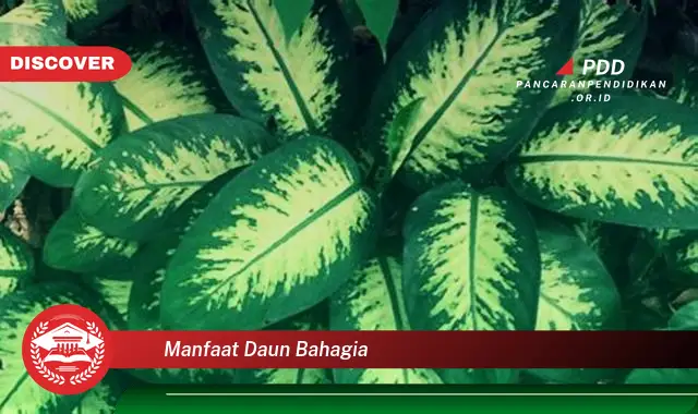 manfaat daun bahagia