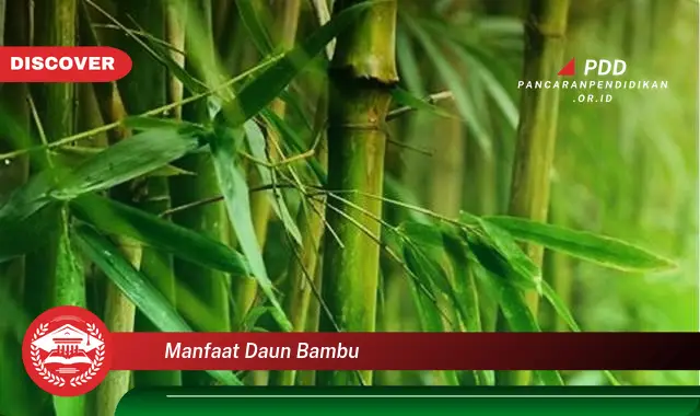 Temukan 10 Manfaat Daun Bambu yang Jarang Diketahui