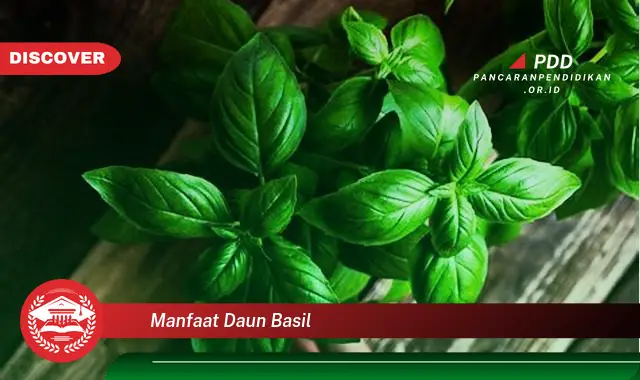manfaat daun basil
