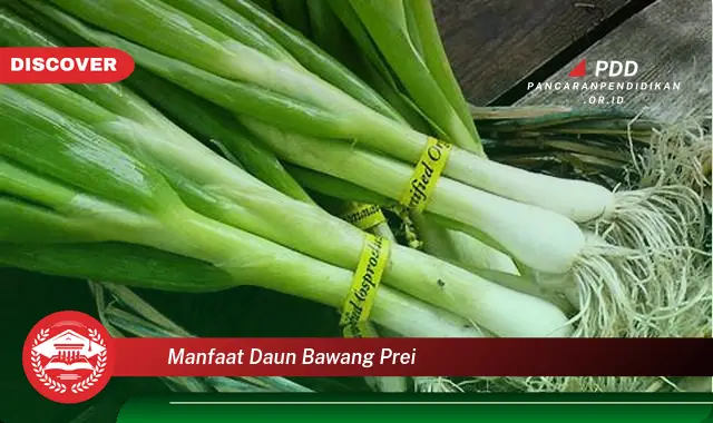 manfaat daun bawang prei