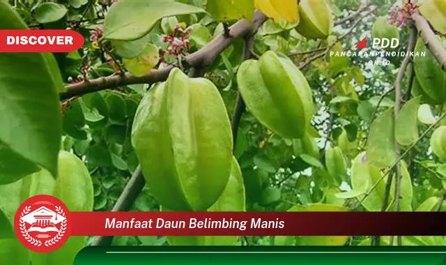 manfaat daun belimbing manis