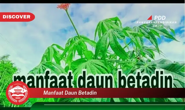 manfaat daun betadin