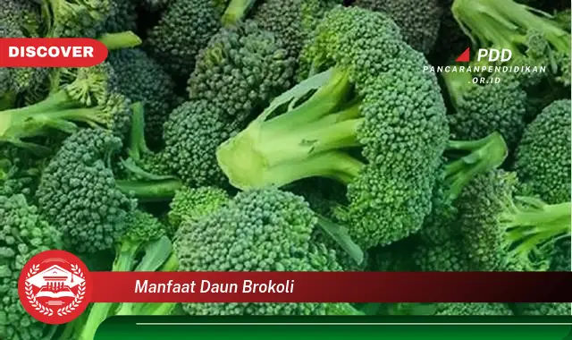 manfaat daun brokoli