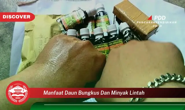 manfaat daun bungkus dan minyak lintah