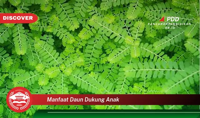 manfaat daun dukung anak