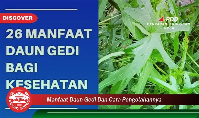 manfaat daun gedi dan cara pengolahannya