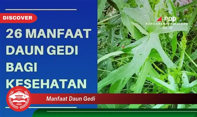 manfaat daun gedi