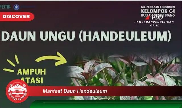 manfaat daun handeuleum