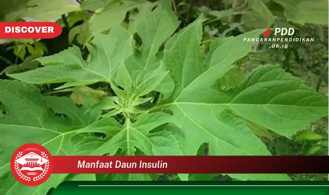 manfaat daun insulin