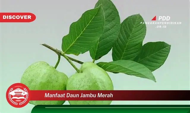 Banyak yang Belum Tau, Ini Dia 30 Manfaat Daun Jambu Merah yang Wajib Diketahui