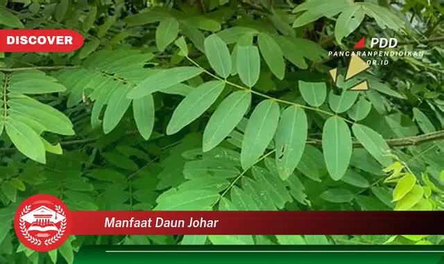 manfaat daun johar