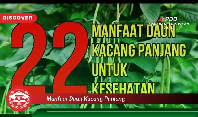 manfaat daun kacang panjang