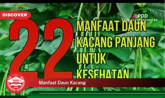 manfaat daun kacang