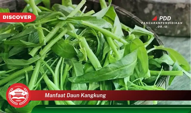 manfaat daun kangkung