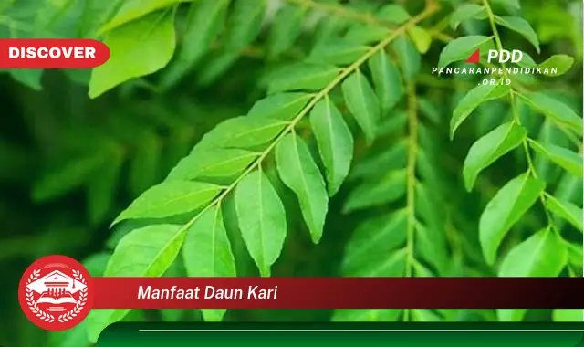 manfaat daun kari