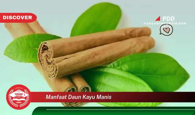 manfaat daun kayu manis