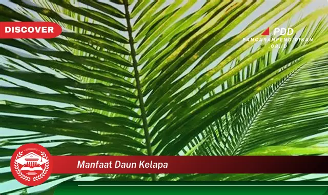 manfaat daun kelapa