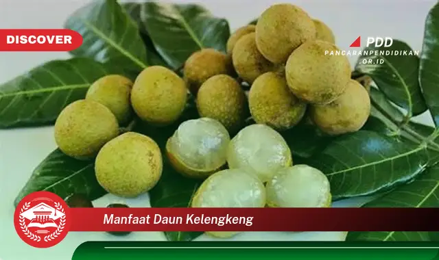 manfaat daun kelengkeng